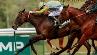 Group One action from ParisLongchamp, Southwell and Sha Tin on the cards