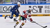 Pardubice oslavu Brna nedopustily. Kometu přehrály 5:1, rozhodne sedmý zápas