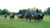 Lingfield, Windsor and Wolverhampton