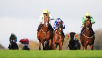 Brighton and Wolverhampton host flat action