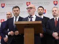 Strana SaS chce priniesť riešenia na zabezpečenie spravodlivosti