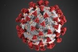 Covid se mohl v USA objevit dříve, než vypukla epidemie v Číně, uvádí Peking