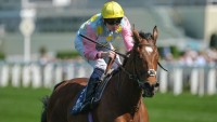 Bell eyeing Gold Cup glory with Yashin after Trials Day win at Ascot