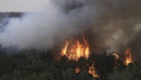U Jeruzaléma vypukly lesní požáry. Zastavily dálnici, vynutily evakuace