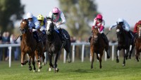 Yarmouth and Southwell host Flat action live on Sky