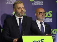 Aby Európska únia zvládla výzvy, musí posilniť konkurencieschopnosť a obranyschopnosť, tvrdí SaS