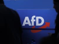 AfD klasifikovali v Brandenbursku ako pravicovo-extrémistickú