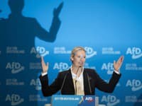 Nemecký úrad dočasne prestane označovať AfD za pravicovo-extrémistickú