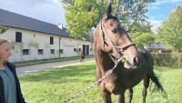 Velký úspěch pro stáj u Albertovce. Her Him podruhé ovládl Švédskou národní