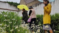 Zahrada symbolů lákala i v dešti. Návštěvníci odcházeli s úsměvem