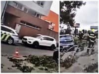 AKTUÁLNE Divoké počasie sa nevyhlo ani Ružinovu: Silný vietor úplne vyvrátil strom, hasiči a polícia sú na nohách!
