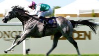 Field Of Gold stars at Royal Ascot in St James's Palace Stakes romp