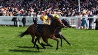 American Affair all out to claim King Charles III title for Goldie