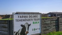 Do 16. júna bolo pre slintačku a krívačku usmrtených 8578 zvierat