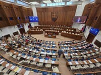 Poslanci presunuli hlasovanie o novele ústavy ako o celku na september