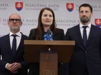 Zvýšenie sociálnych príspevkov nie je dostatočnou pomocou pre opatrovateľov, upozorňuje SaS