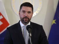Sebestačnosť Slovenska nie je pri zemiakoch ani na úrovni 50 percent, uviedol Takáč