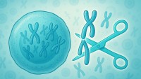Genetické nůžky dokázaly opravit buňky s Downovým syndromem. Rizikem je vypnutí genů pro opravu DNA