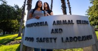 Union presses California's key bird flu testing lab for records