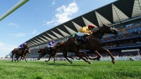 Graffard taking the positives as Zarigana suffers Coronation reverse