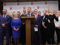 Strany Hlas-SD i SNS čaká snem! Opozičné KDH bude rokovať na rade