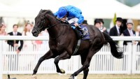 Rebel's Romance digs deep for Hardwicke honours