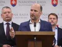 Hnutie Slovensko označilo cyrilo-metodské oslavy na Devíne za stranícku šou