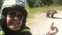 Turista si robil selfie s medveďom, ten ho potom zabil. Podobných prípadov je viac
