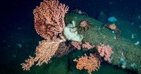 California moves closer to '30x30' conservation goals as threats to public lands loom