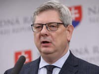 Nárast kriminality v obchodoch súvisí skôr s ekonomickou situáciou, tvrdí Susko