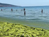 Fuj, hotový hnus! Dovolenkári v Bulharsku zostali v šoku: Takéto špinavé more si nepamätajú, po kolená v humuse
