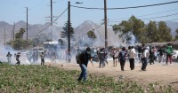 Federal immigration agents carry out sweep at Ventura County cannabis farm