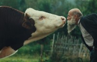 MFF KV: Křišťálový glóbus má film Raději zešílet v divočině