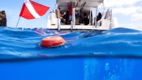 Garmin S1 Buoy je sonarový router, který vytvoří podmořskou síť pro potápěče. Oranžová bójka má dosah až 100 metrů