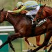 Group One action from ParisLongchamp, Southwell and Sha Tin on the cards