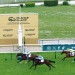 Maxime Guyon reacts to his double at ParisLongchamp