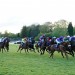 Lingfield, Windsor and Wolverhampton