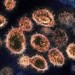 Virus covidu se mohl poprvé objevit ve Spojených státech, tvrdí Čína