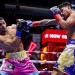 Romero shocks Garcia on Times Square boxing show