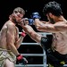 Nolan comeback cut down by head-kick KO