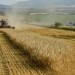 Bude mať vstup Ukrajiny do EÚ vplyv na slovenský agrosektor? Experti varujú pred výzvami