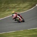 Tragédie na motocyklové dráze. Hromadnou havárii nepřežili dva závodníci