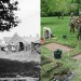 Archeológovia odkrývajú pozostatky americkej poľnej nemocnice z roku 1945, sú jediné v Európe