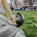 Rusko nemá na sochu nárok, napsal o pomníku Koněva Lipavský. ‚Jste zrádce,‘ reaguje Moskva