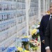 Macron aj Starmer prehovorili o vyslaní vojakov na Ukrajinu. O čom aktuálne diskutuje koalícia ochotných?