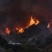 Insurance commissioner signals possible probe into State Farm's handling of L.A. wildfire claims