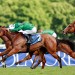 Zarigana keeps French 1000 Guineas after Shes Perfect's team fail in appeal