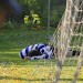 Rozhodčí pořádně neznají pravidla a zbytečně prudí, tvrdí fotbalista z Lounska