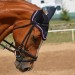 Čtyřicet ran bičem. Svět vyděsilo šokující video s olympionikem tyranem