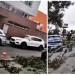 AKTUÁLNE Divoké počasie sa nevyhlo ani Ružinovu: Silný vietor úplne vyvrátil strom, hasiči a polícia sú na nohách!